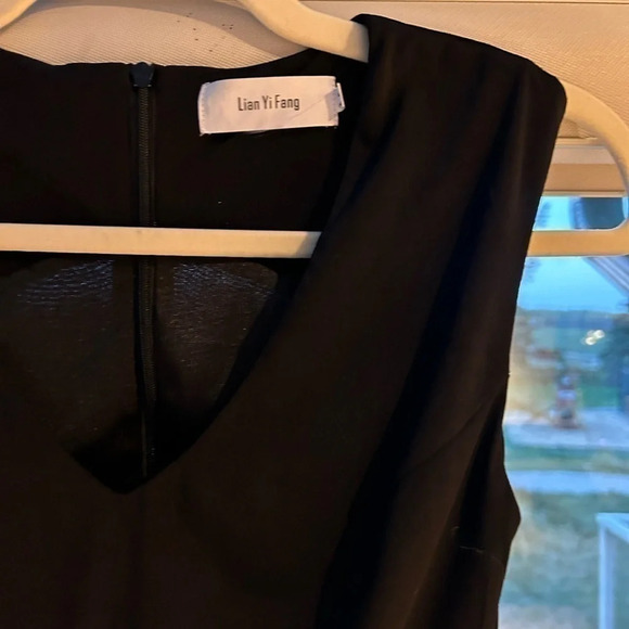 Beautiful Lian Yi Fang gown- worn  once, gothic with sheer cutaways and long - Picture 7 of 8